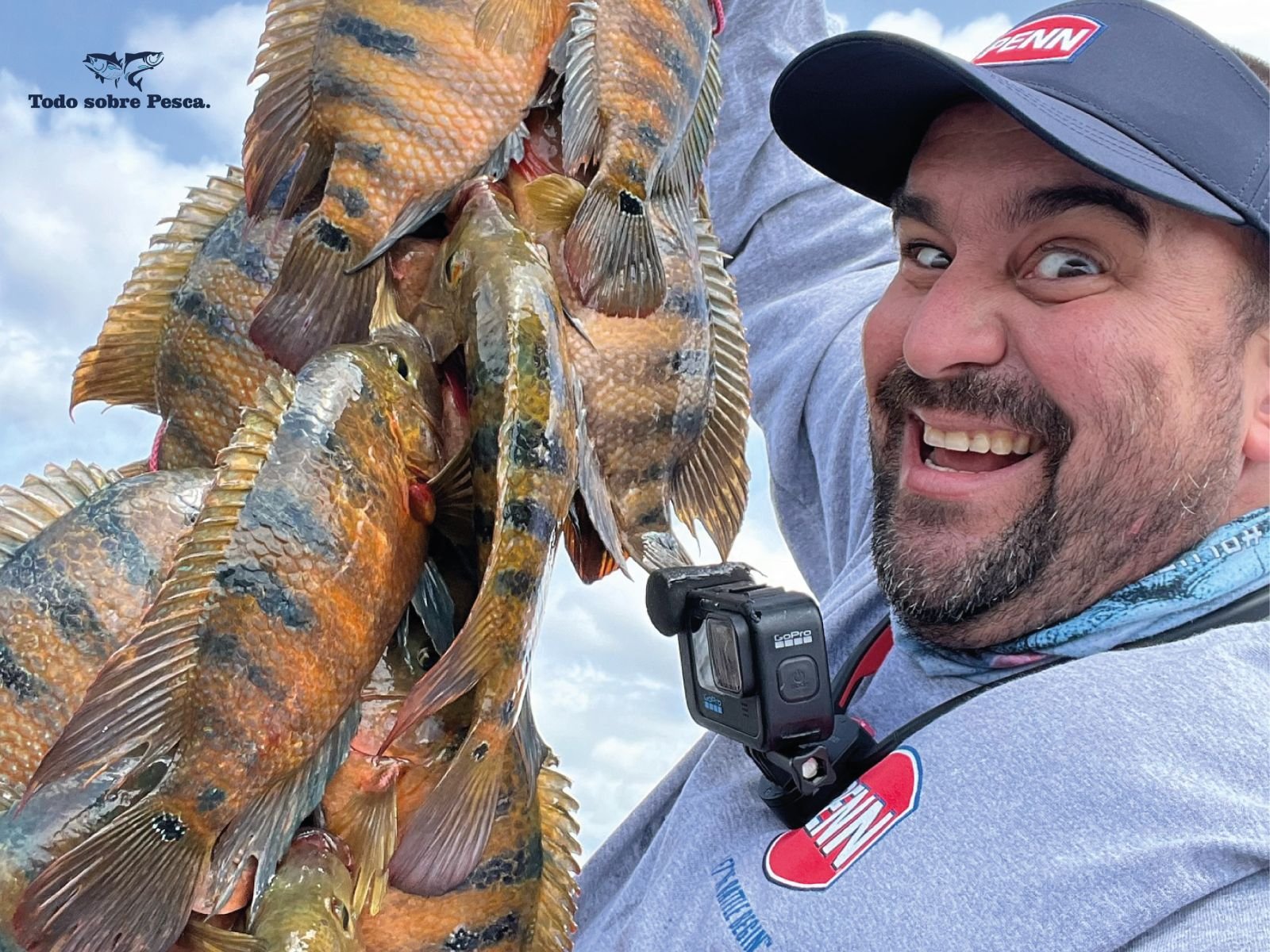 Proyecto para TodoSobrePesca